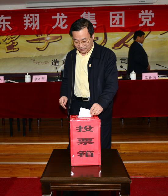 山东翔龙集团