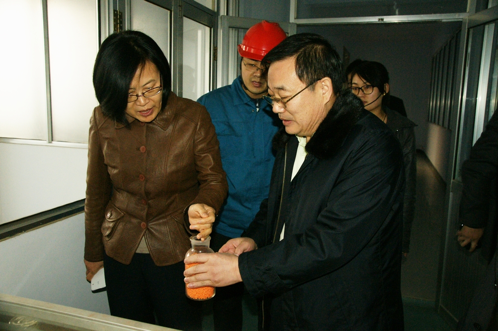 山东翔龙集团