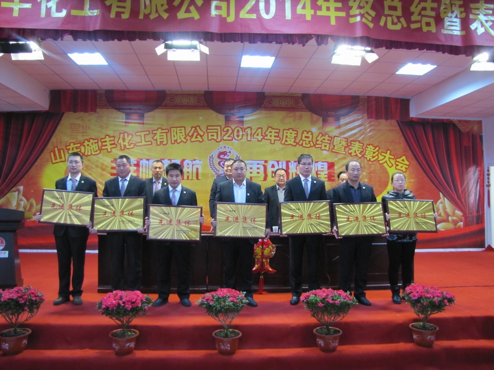 山东翔龙集团