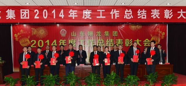 山东翔龙集团