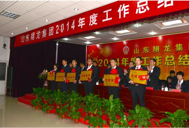 山东翔龙集团