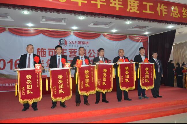 山东翔龙集团