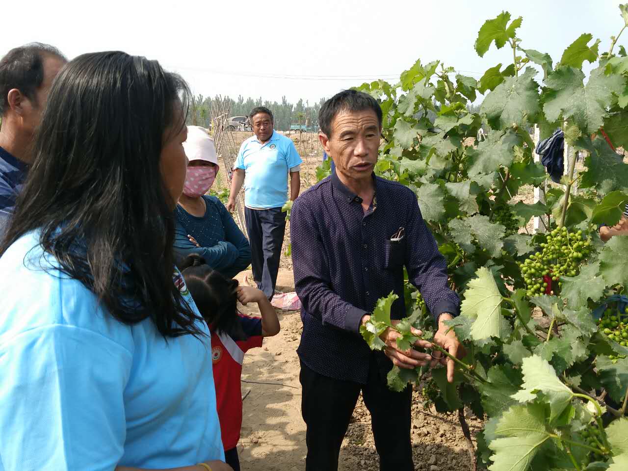 山东翔龙集团