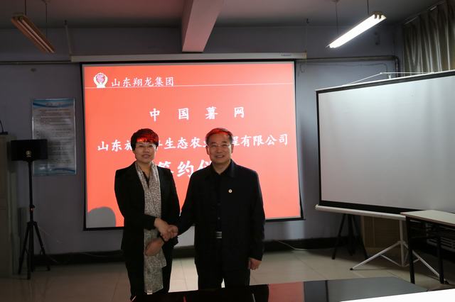 山东翔龙集团