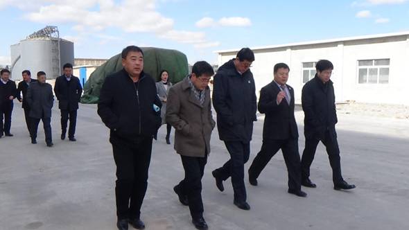 山东翔龙集团