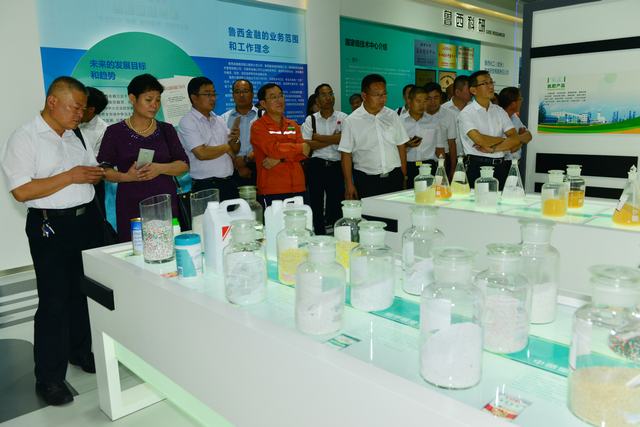 山东翔龙集团