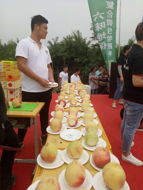山东翔龙集团