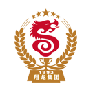 山东翔龙集团